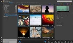 download-13-9815337-300x176-3650154