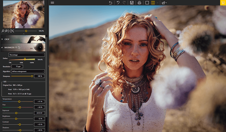 inpixio-photo-maximizer-pro-interface-8291789