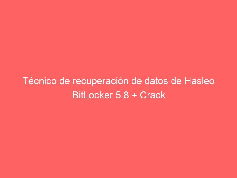 tecnico-de-recuperacion-de-datos-de-hasleo-bitlocker-5-8-crack