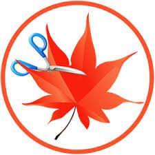 easy-cut-studio-logo-8956456