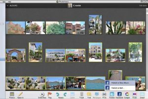 phototheca-pro-2019-12-5-2699-free-download-300x202-6194138-4027172