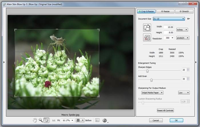 d9b6c985-a3d3-e211-85ff-0025902c7e73_2_full-6735776-9701477