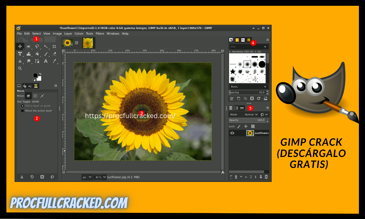 gimp descargar gratis