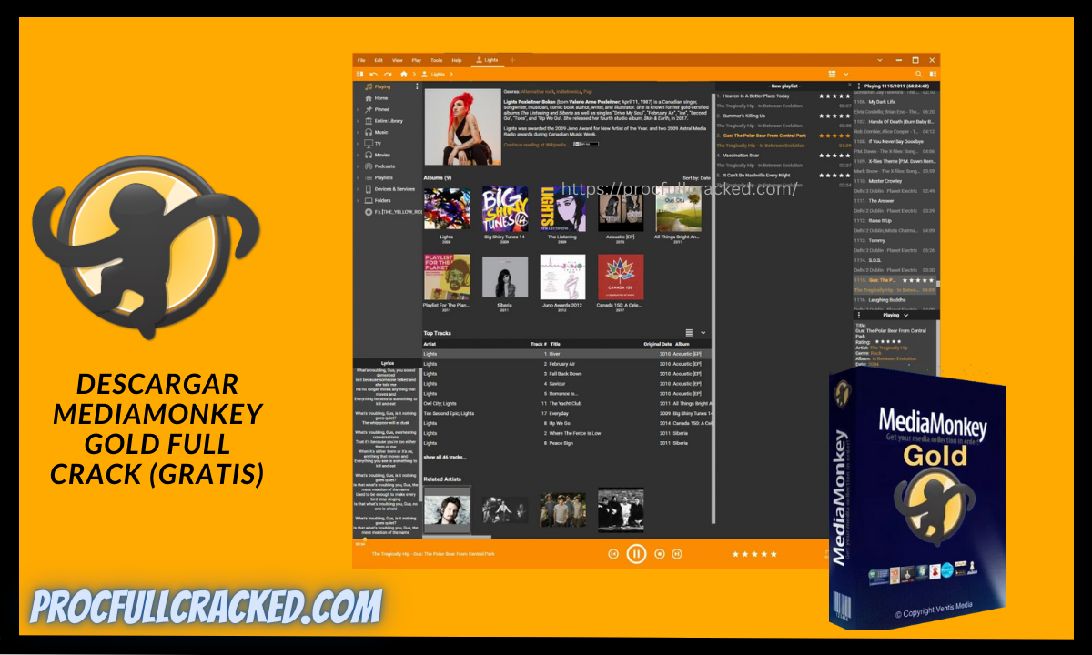 mediamonkey gold Full