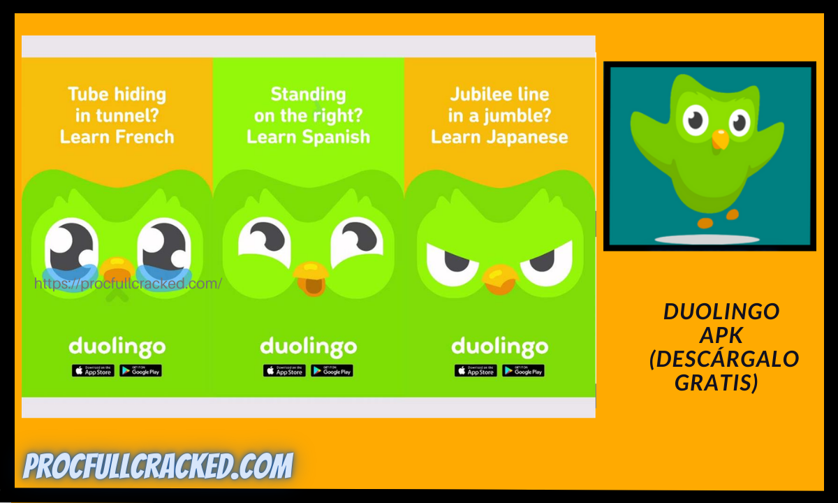 Duolingo APK Mod