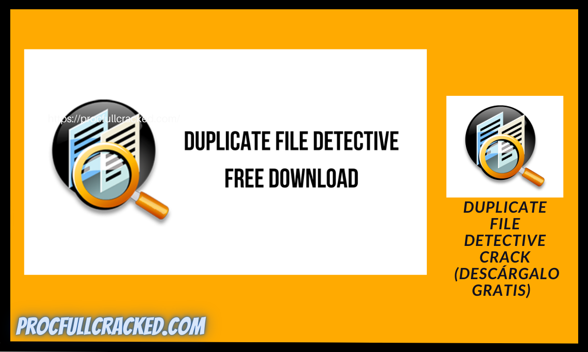 Duplicate File Detective Crack full