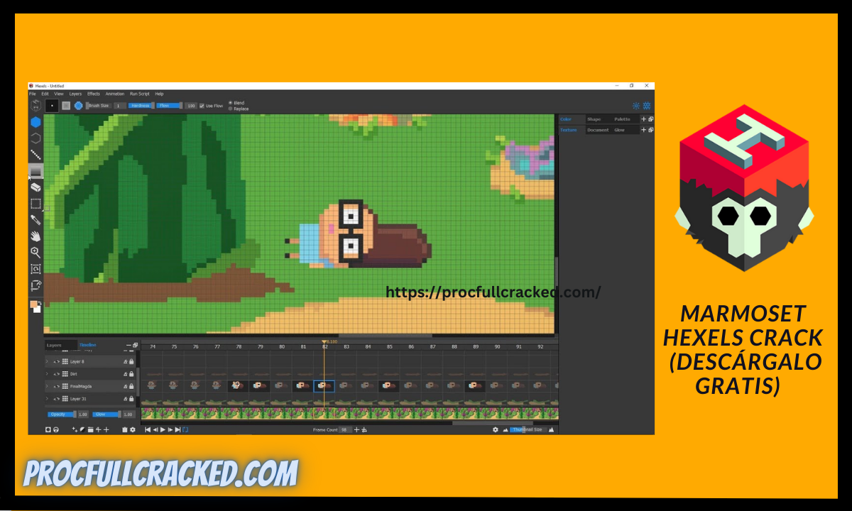 marmoset hexels full